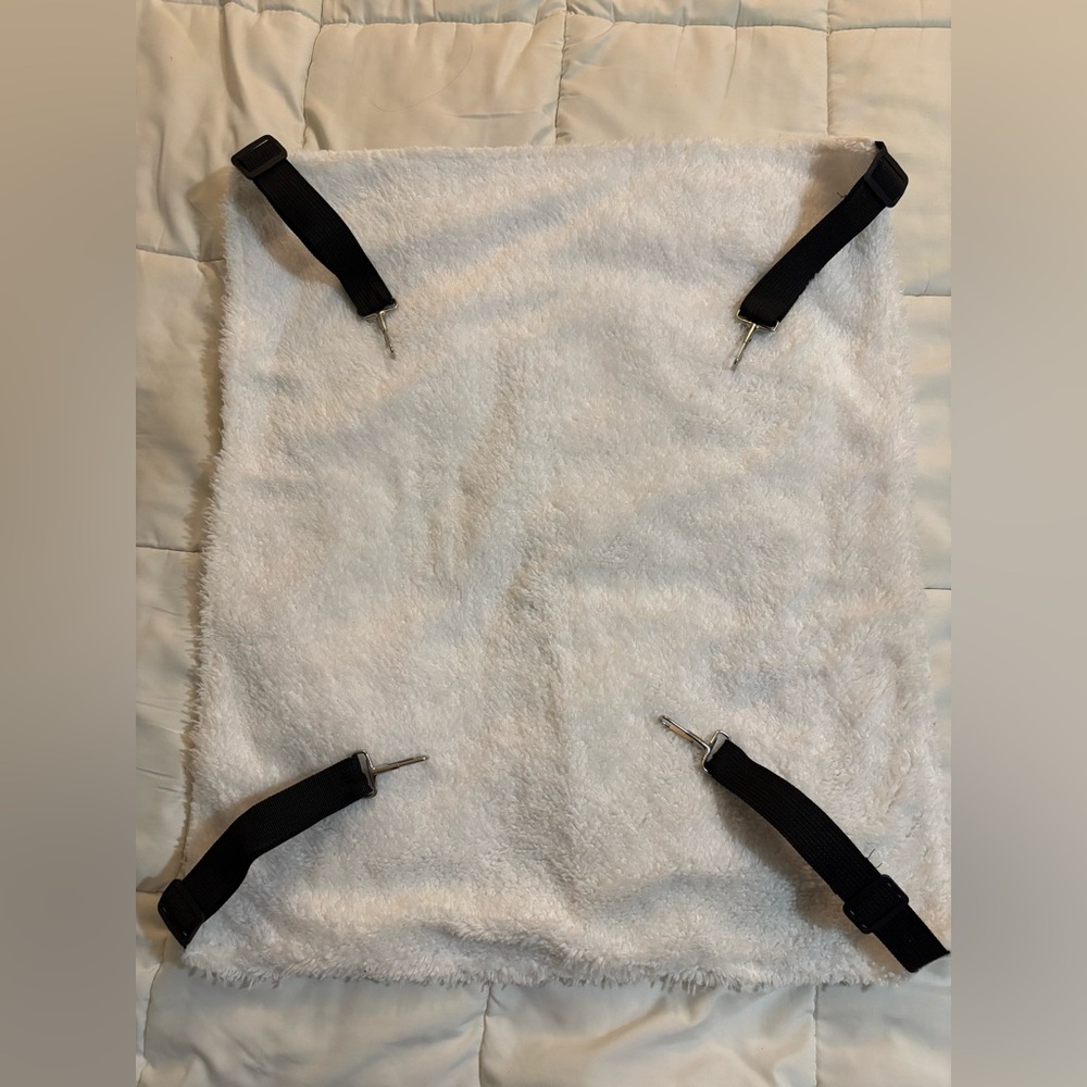 Cat Bundle —> scroll - Picture 3 of 4